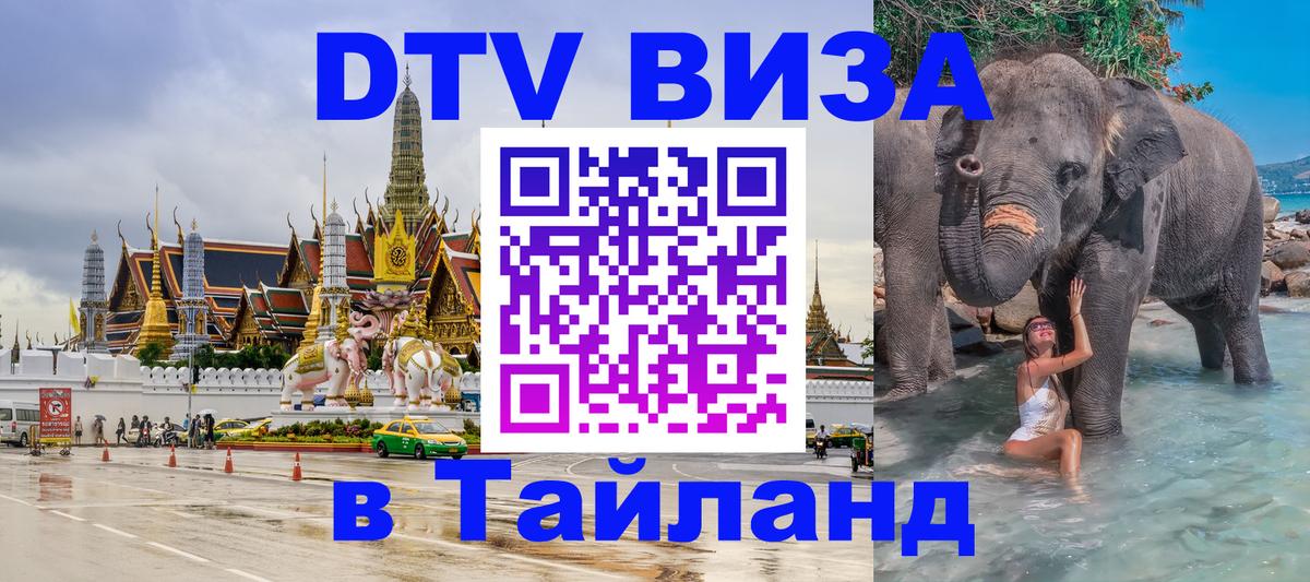 Visa в Таиланд Тула 